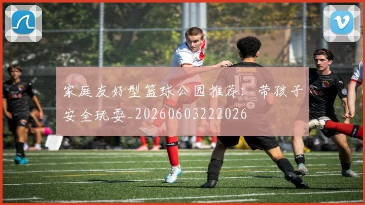 家庭友好型篮球公园推荐：带孩子安全玩耍_20260603222026